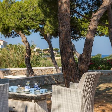 Villa Dellagracia Mansion In Poseidonia Syros Posidhonía Exterior foto