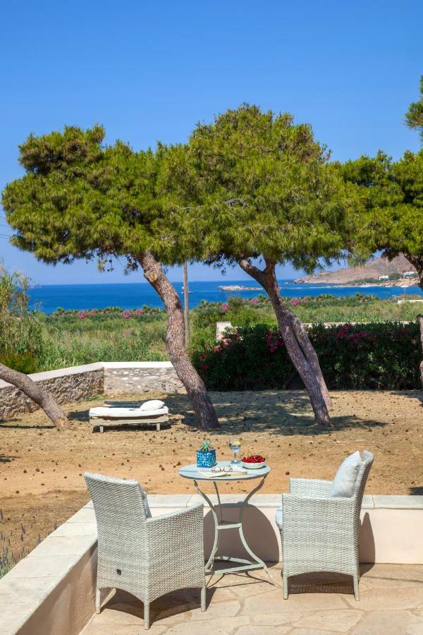 Villa Dellagracia Mansion In Poseidonia Syros Posidhonía Exterior foto