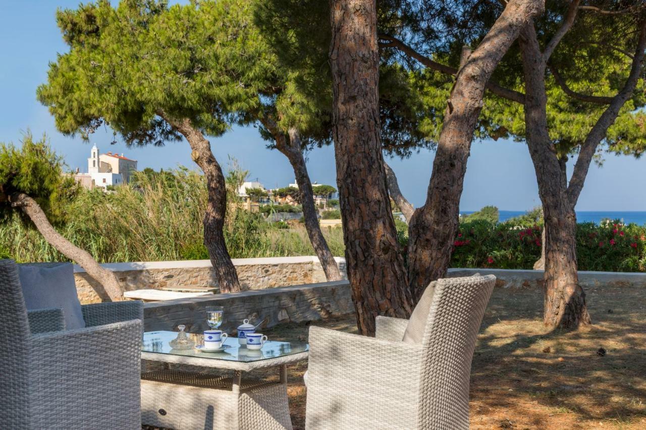 Villa Dellagracia Mansion In Poseidonia Syros Posidhonía Exterior foto